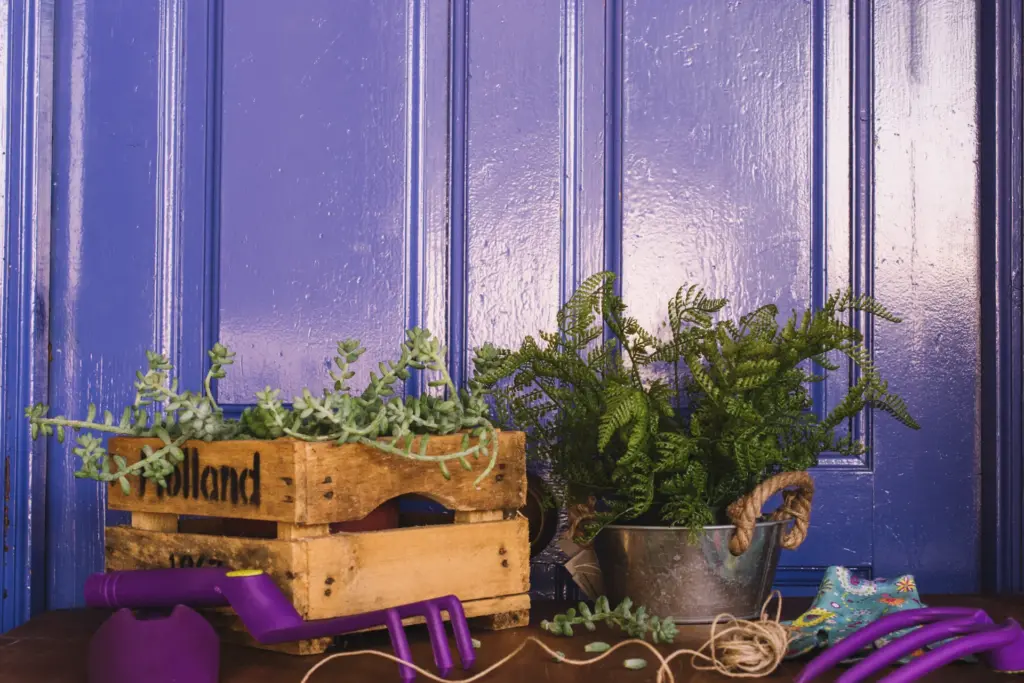 decorative gardening composition
